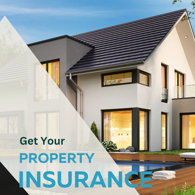 Property & Casualty  Insurance